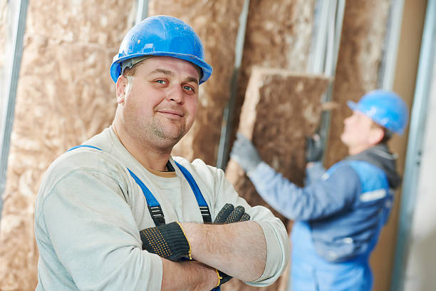 Best Eco-Friendly Insulation in Suitland, MD